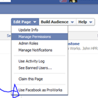 Updated Facebook Fan Pages: How To Post As Both Your Page and Yourself