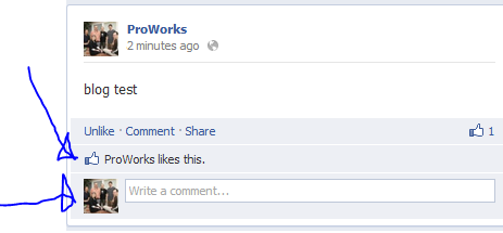 Proworks Likes and Comments