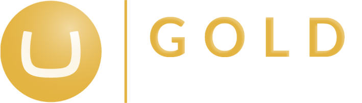 Umbraco Gold Partner