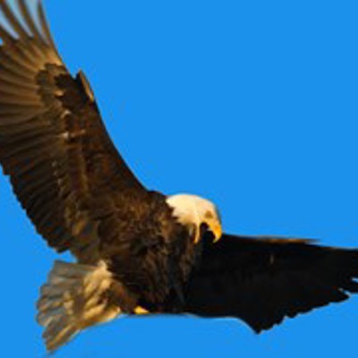 IE 11 doPostPack and JavaScript Errors